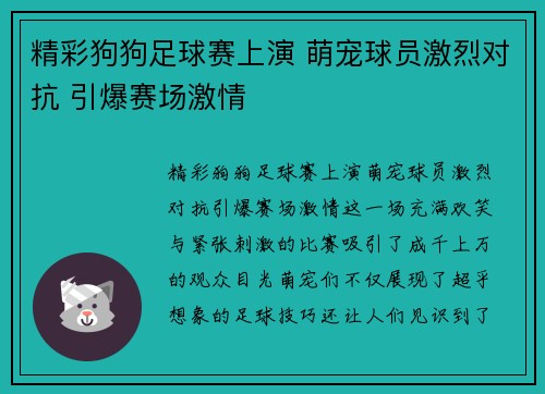 精彩狗狗足球赛上演 萌宠球员激烈对抗 引爆赛场激情