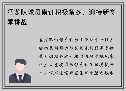 猛龙队球员集训积极备战，迎接新赛季挑战