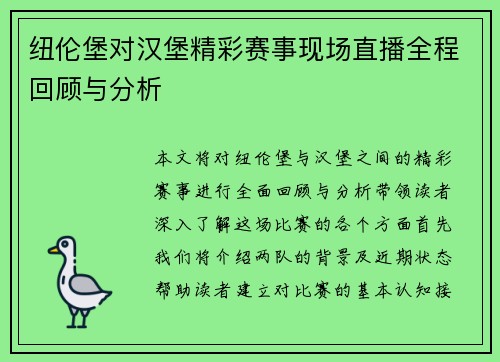 纽伦堡对汉堡精彩赛事现场直播全程回顾与分析