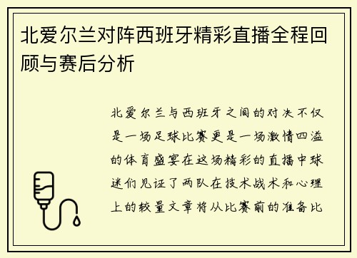 北爱尔兰对阵西班牙精彩直播全程回顾与赛后分析